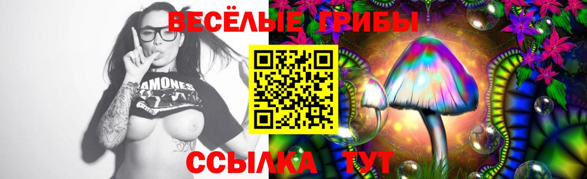 Псилоцибиновые грибы Cubensis Тихвин